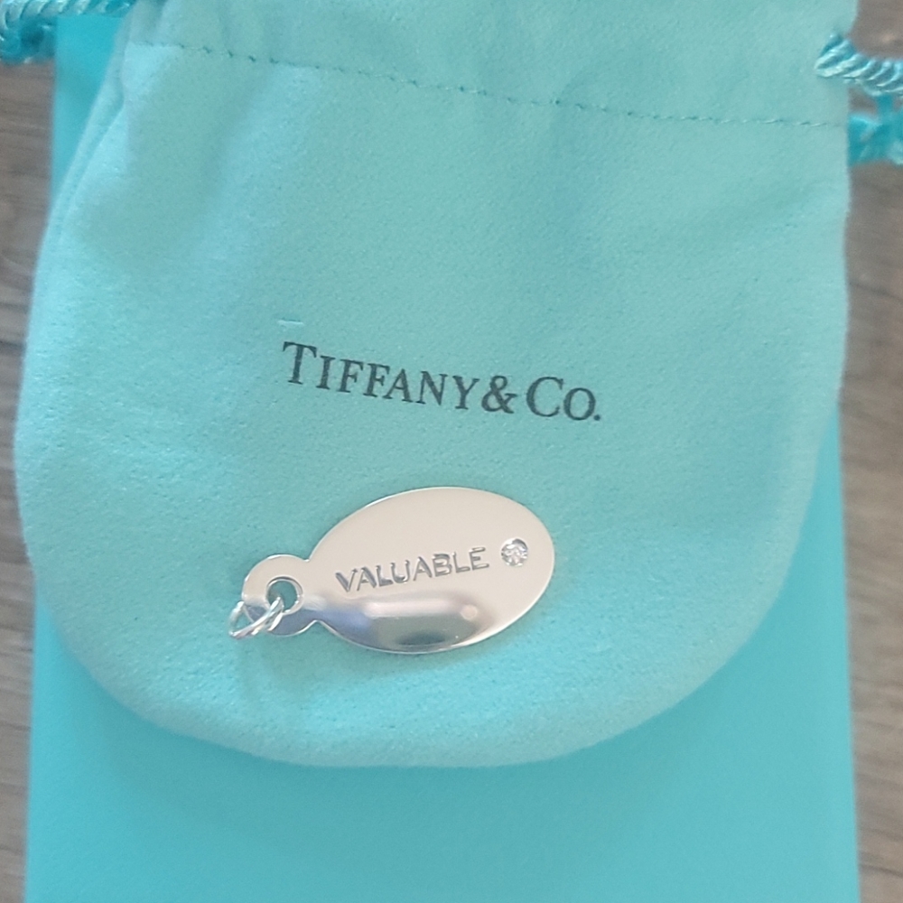 Authentic Tiffany & Co Sterling and Diamond Charm